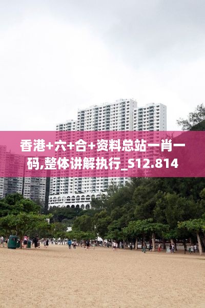 香港+六+合+资料总站一肖一码,整体讲解执行_S12.814