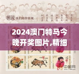 2024澳门特马今晚开奖图片,精细解析评估_精英版1.406