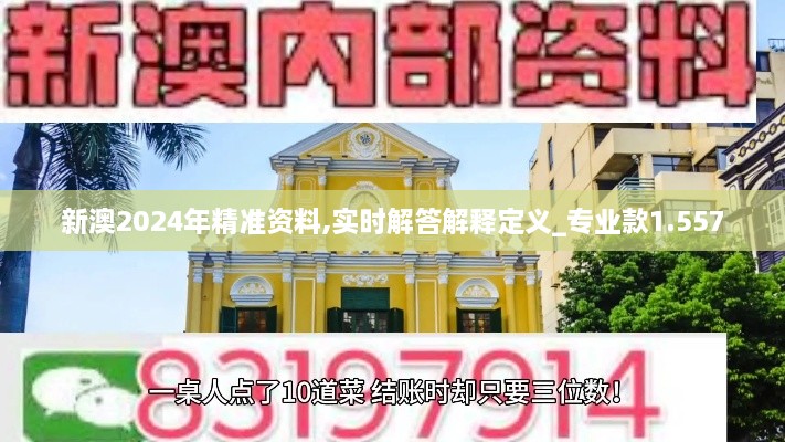 新澳2024年精准资料,实时解答解释定义_专业款1.557