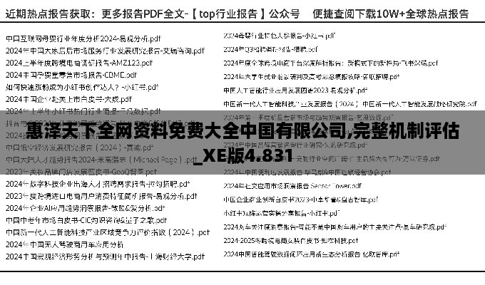 惠泽天下全网资料免费大全中国有限公司,完整机制评估_XE版4.831