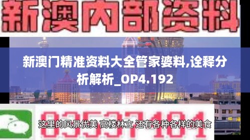 新澳门精准资料大全管家婆料,诠释分析解析_OP4.192