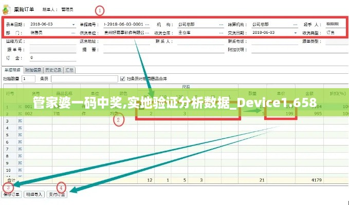 管家婆一码中奖,实地验证分析数据_Device1.658