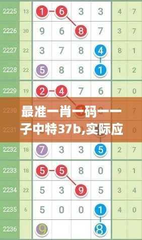 最准一肖一码一一子中特37b,实际应用解析说明_移动版17.221