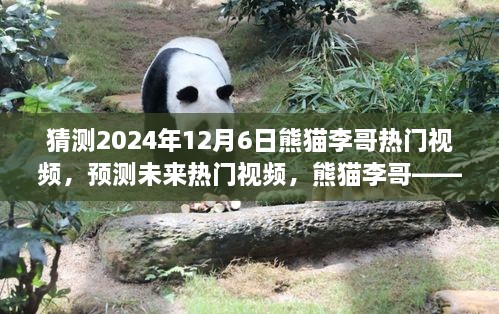 熊猫李哥未来热门视频预测，揭秘熊猫李哥在2024年12月6日的视频内容