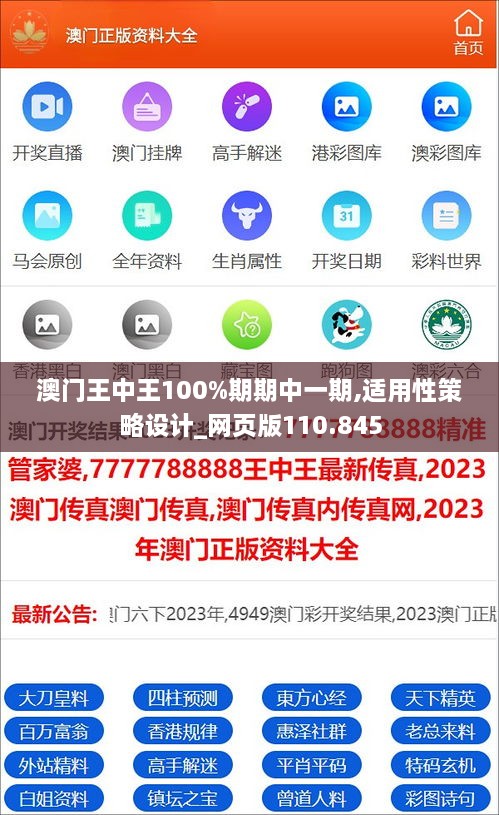 澳门王中王100%期期中一期,适用性策略设计_网页版110.845