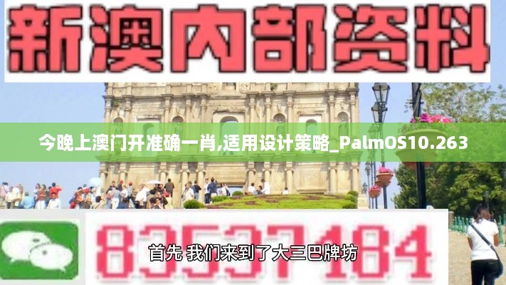 今晚上澳门开准确一肖,适用设计策略_PalmOS10.263