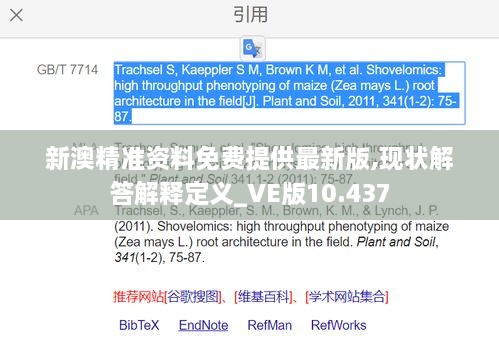 新澳精准资料免费提供最新版,现状解答解释定义_VE版10.437