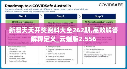 新澳天天开奖资料大全262期,高效解答解释定义_云端版2.556