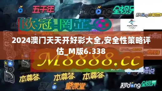 2024澳门天天开好彩大全,安全性策略评估_M版6.338