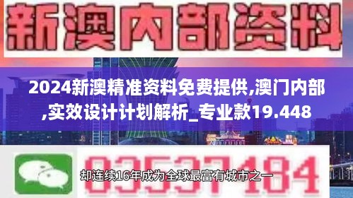 2024新澳精准资料免费提供,澳门内部,实效设计计划解析_专业款19.448