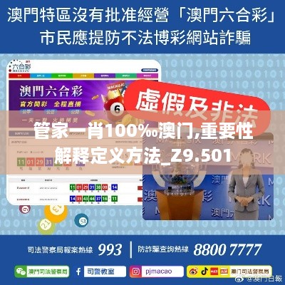 管家一肖100‰澳门,重要性解释定义方法_Z9.501