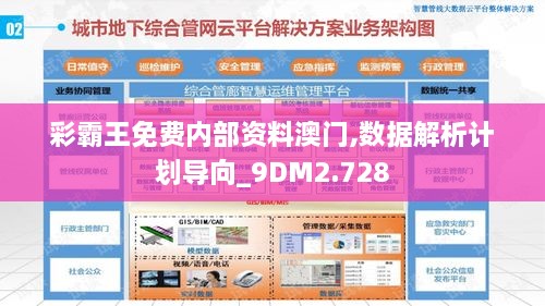 彩霸王免费内部资料澳门,数据解析计划导向_9DM2.728