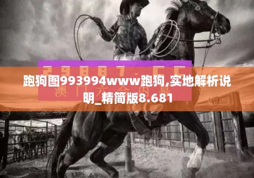 跑狗图993994www跑狗,实地解析说明_精简版8.681