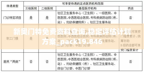 新奥门特免费资料查询,稳定评估计划方案_pack19.846