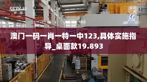 澳门一码一肖一特一中123,具体实施指导_桌面款19.893