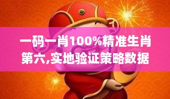 一码一肖100%精准生肖第六,实地验证策略数据_专家版9.391