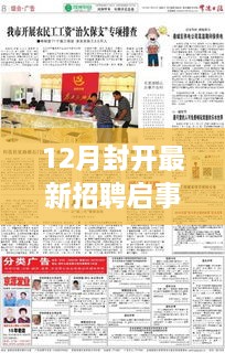 12月封开最新招聘启事发布与职场观察，个人立场探讨