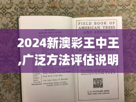 2024新澳彩王中王,广泛方法评估说明_精装版4.376