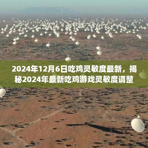 2024年12月7日 第52页