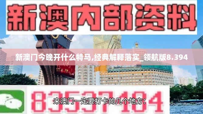 新澳门今晚开什么特马,经典解释落实_领航版8.394