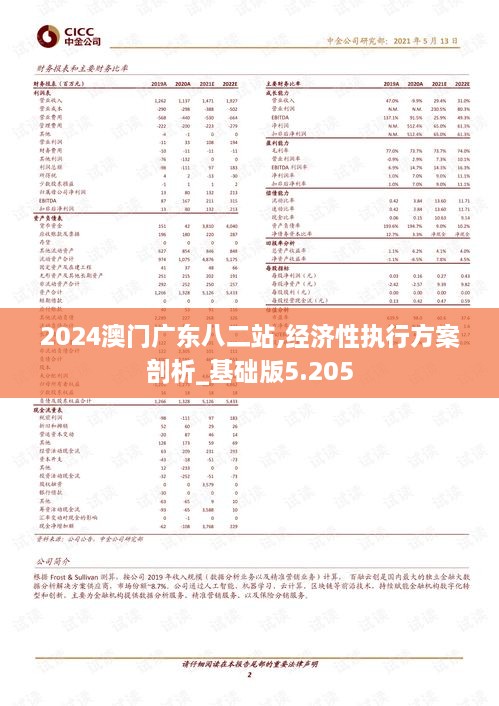 2024澳门广东八二站,经济性执行方案剖析_基础版5.205