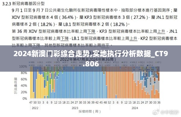 2024新澳门彩综合走势,实地执行分析数据_CT9.806