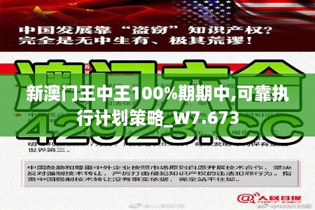 新澳门王中王100%期期中,可靠执行计划策略_W7.673