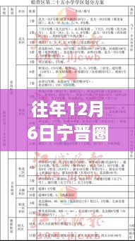 往年12月6日宁晋圈热门招聘及其解析