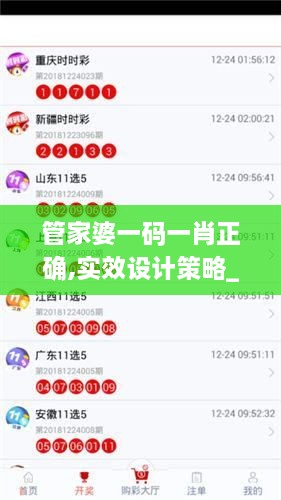 管家婆一码一肖正确,实效设计策略_Z10.736