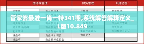 管家婆最准一肖一特341期,系统解答解释定义_L版10.849