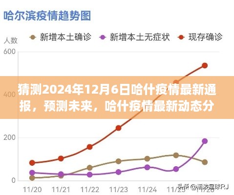 猜测2024年12月6日哈什疫情最新通报，预测未来，哈什疫情最新动态分析（猜测2024年12月6日）