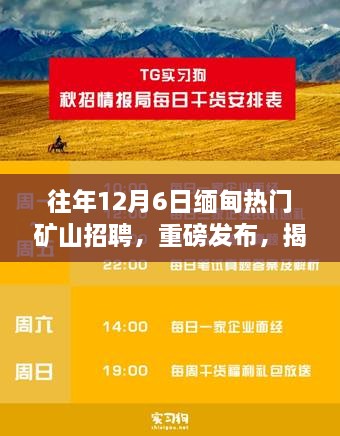 揭秘，智能矿山招聘系统全新体验与往年缅甸矿山招聘的科技新星盛事回顾