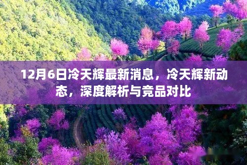 冷天辉最新动态深度解析与竞品对比，冷天辉最新消息揭秘（深度报道）