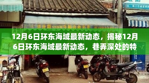 揭秘环东海域最新动态，巷弄深处的特色小店探秘（12月6日更新）