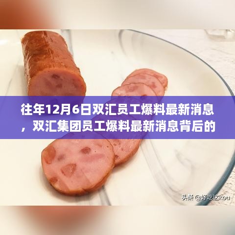 双汇集团员工爆料最新消息背后的深度解读与探讨