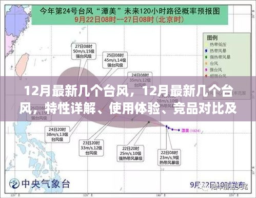 12月最新台风详解，特性、体验、竞品对比及用户群体分析