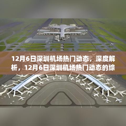 12月6日深圳机场热门动态深度解析与综合评测