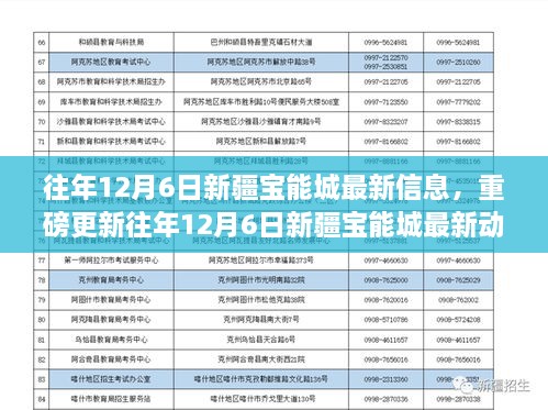 往年12月6日新疆宝能城最新动态重磅揭秘，最新信息与动态更新汇总