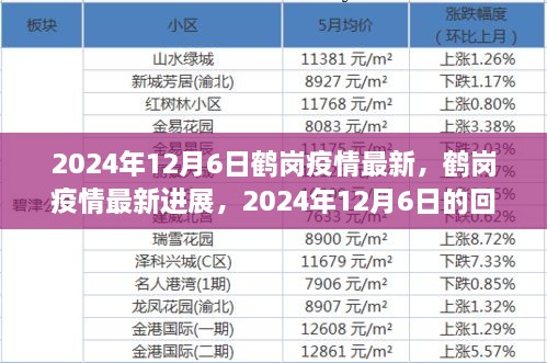 鹤岗疫情最新进展报告，回顾与洞察，截至2024年12月6日