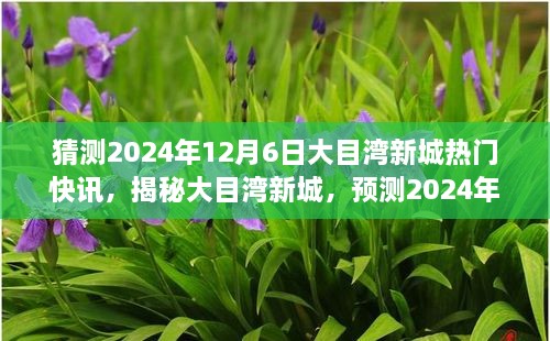 揭秘大目湾新城，预测未来热门快讯，聚焦2024年12月6日发展动态！