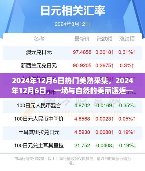 心灵探索之旅，与自然的美丽邂逅——2024年12月6日热门美熟采集体验