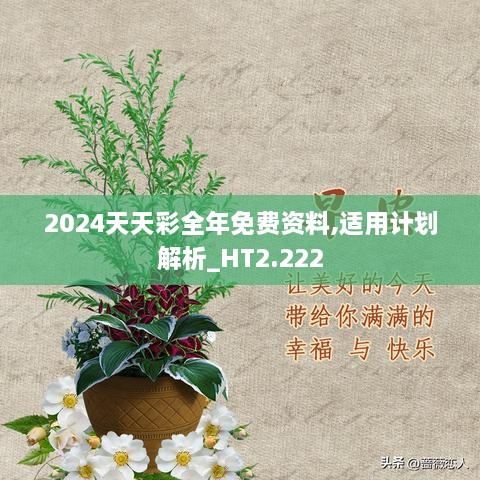 2024天天彩全年免费资料,适用计划解析_HT2.222