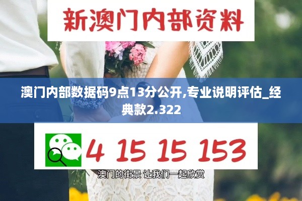 澳门内部数据码9点13分公开,专业说明评估_经典款2.322