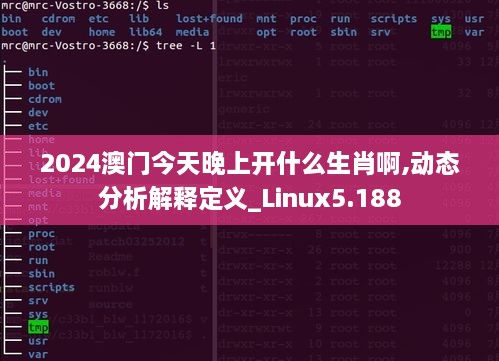 2024澳门今天晚上开什么生肖啊,动态分析解释定义_Linux5.188