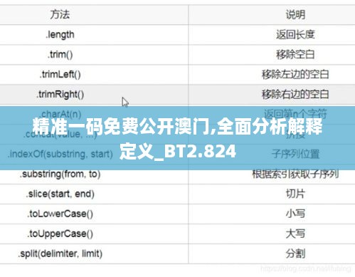 精准一码免费公开澳门,全面分析解释定义_BT2.824