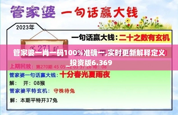 管家婆一肖一码100%准确一,实时更新解释定义_投资版6.369