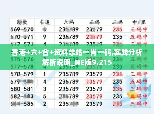 2024年12月8日 第84页