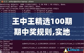 王中王精选100期期中奖规则,实地研究解析说明_Tizen3.444