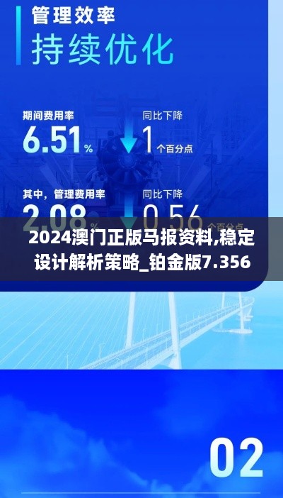 2024澳门正版马报资料,稳定设计解析策略_铂金版7.356