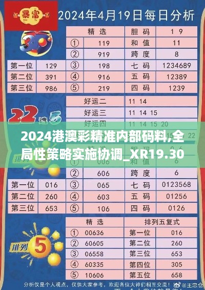 2024港澳彩精准内部码料,全局性策略实施协调_XR19.305